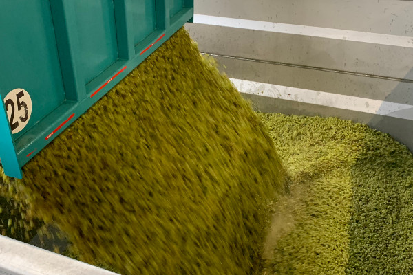 Premiers frémissements du marché du vin en vrac