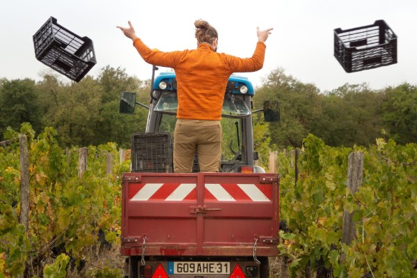 15 000 € levés solidairement en 5 minutes pour acheter tracteur et vendange