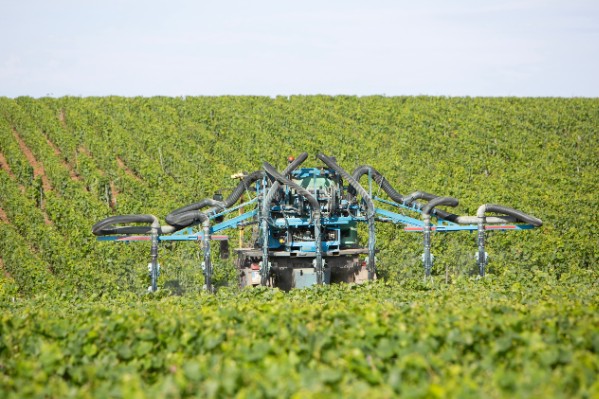 70 % des viticulteurs utilisent un adjuvant lors de leurs traitements phytos