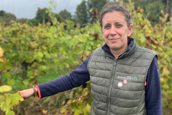 'Ce n’est pas une honte de dire que c’est la merde dans les vins de Bordeaux'