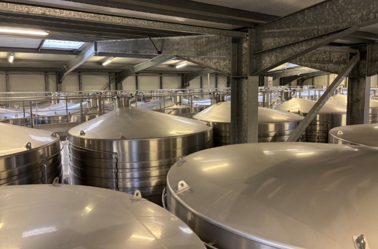 Vinifier à l'économie dès 0,44 €/hl : ces produits œnologiques suffisent !