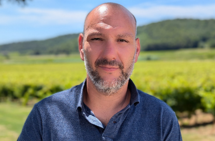 +5 %, les Côtes-du-Rhône augmentent à 43 hl/ha le rendement alors que 