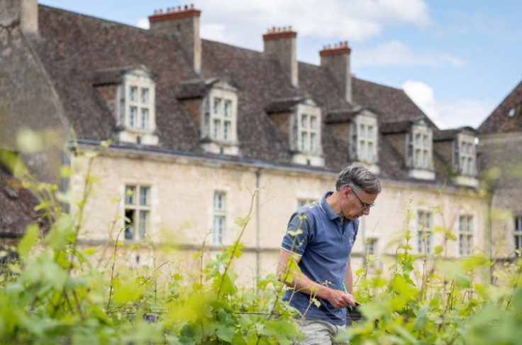 +3 ha de vignes pour le domaine Méo-Camuzet à Volnay et Pommard