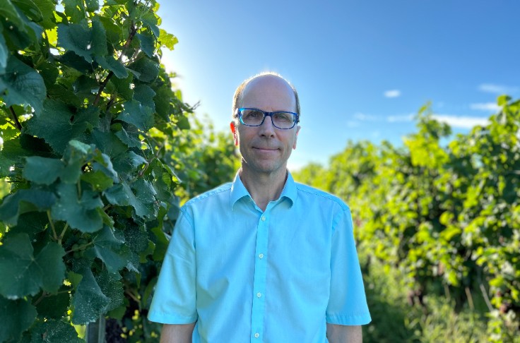La crise du vin frappe l'Allemagne : 30 % du vignoble et 50 % des entreprises menacés