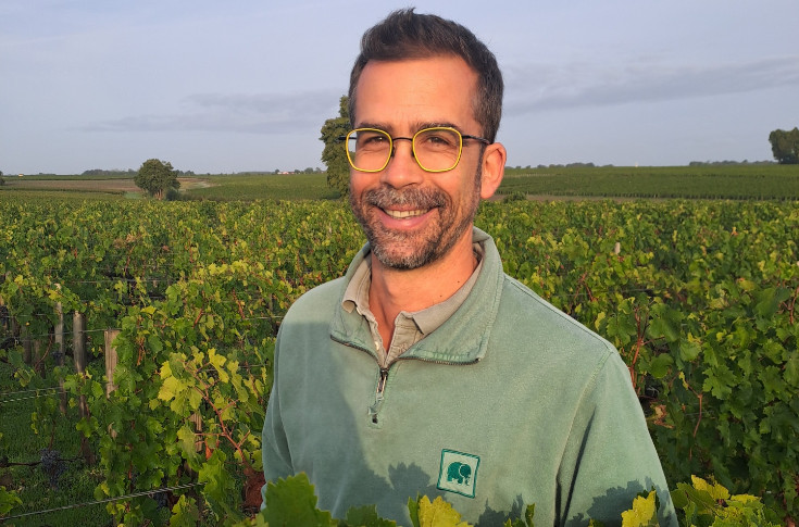 2025, grand millésime en cinq points clés pour les vins de Bordeaux