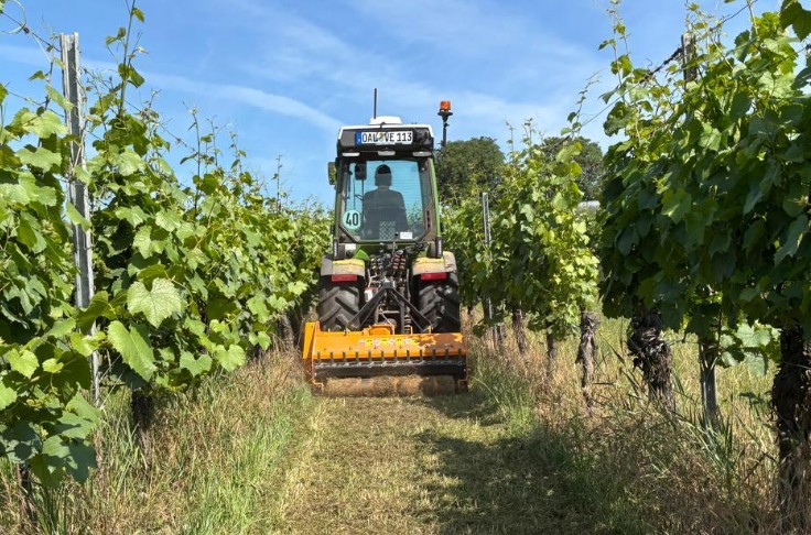 3 outils gratuits qui facilitent la vigne : doses de semis, débit de chantier, comparaison d'itinéraires...