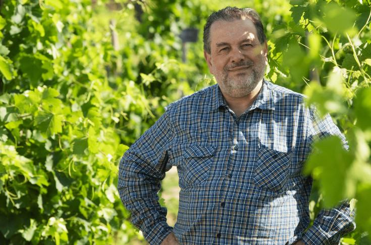 Filière vin, vois ton marché : 