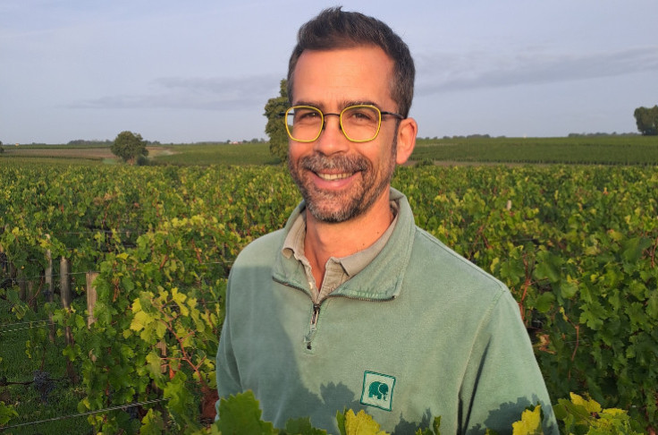 2025, a top vintage with five key points for Bordeaux