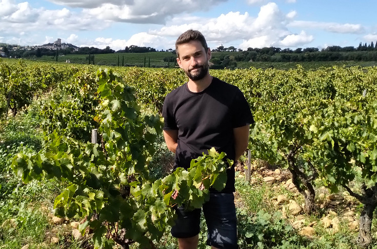 Les vignerons de Châteauneuf-du-Pape experts en manque d’eau, de l’irrigation au stockage dans le sol