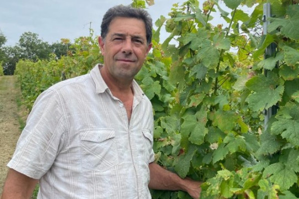 'Le vignoble est au bout du rouleau et attend un nouvel arrachage : j’ai peur de voir les réponses qui vont arriver'