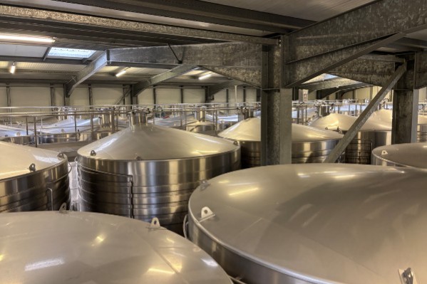 Vinifier à l'économie dès 0,44 €/hl : ces produits œnologiques suffisent !