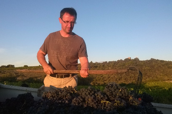 'Je ne peux imaginer que le gouvernement de François Bayrou n’a pas profité de l’été pour bétonner le soutien au vignoble'