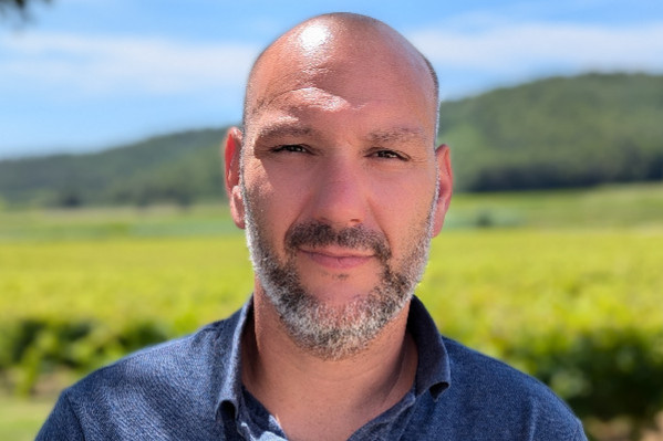 +5 %, les Côtes-du-Rhône augmentent à 43 hl/ha le rendement alors que 'les signes montrent que l’on repart'