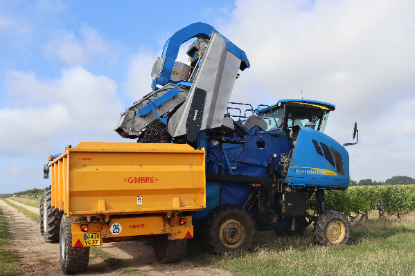 2025 est un millésime exceptionnel dans les vignes avant de le devenir en bouteille