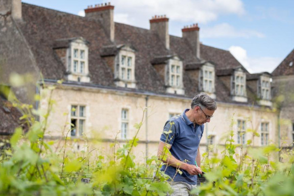 +3 ha de vignes pour le domaine Méo-Camuzet à Volnay et Pommard