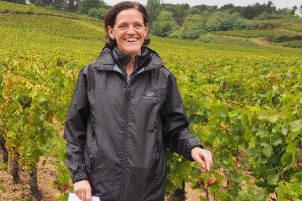 2025, 'un millésime comparable à aucun autre' en Bourgogne, avec 'l’impression d’avoir deux millésimes en un !”