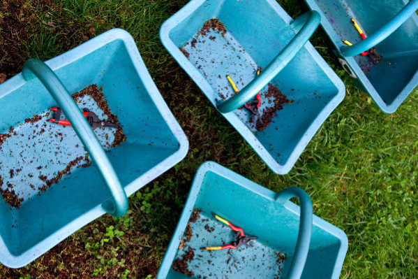 La vendange française perd 4 millions hl en un mois : coup de chaud sur les raisins