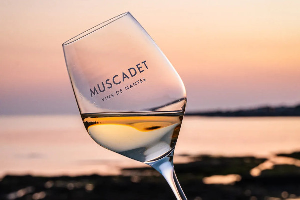 Pas de mention 'cru' pour les vins du Muscadet : l'INAO remonte les bretelles