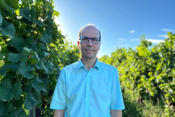 La crise du vin frappe l'Allemagne : 30 % du vignoble et 50 % des entreprises menacés