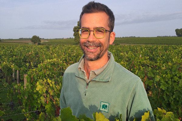 2025, grand millésime en cinq points clés pour les vins de Bordeaux