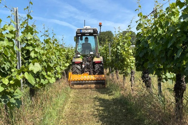 3 outils gratuits qui facilitent la vigne : doses de semis, débit de chantier, comparaison d'itinéraires...