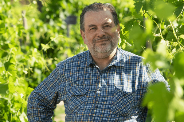 Filière vin, vois ton marché : 'l’échec des deux distillations et de l’arrachage montre qu’on ne peut pas dépenser des millions sans un minimum de vision'