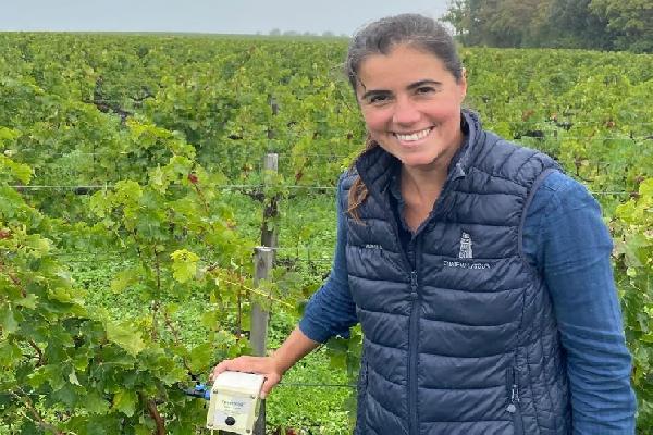 À l’écoute des spores pour mieux lutter contre l'oïdium dans les vignes