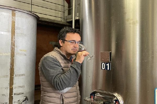 La colle Oenofine RedY fait ses preuves pour clarifier les moûts et obtenir des vins rouges fruités
