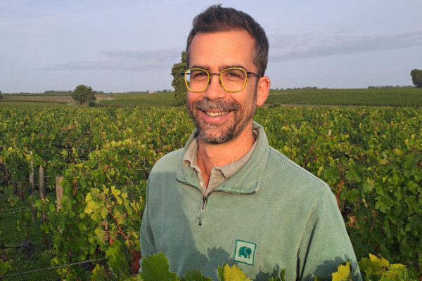 2025, a top vintage with five key points for Bordeaux