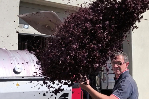 'Il faut une offensive commerciale pour sortir la filière vin de la paupérisation et de la décapitalisation'