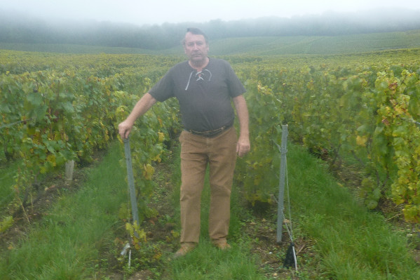 Coût dur de la MSA à 5 000 vignerons de Champagne : 'on nous vend la retraite comme une Mercedes, et à la fin on n’a qu’une roue de secours !'