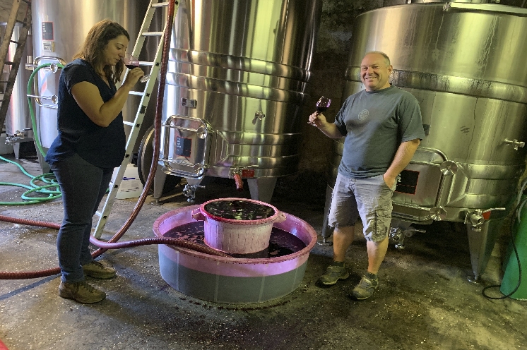  Elaborer des vins nature n'est pas si simple