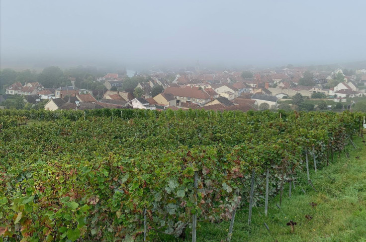 Choc en Champagne, le vigneron Jean-Luc Vadin tué par son fils
