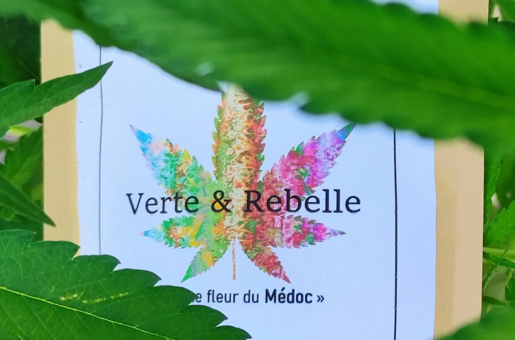 Médoc winegrower tries his hand at CBD