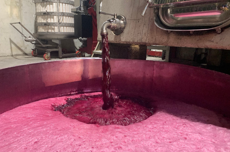 Avec 56 hl/ha, les vins de France ne font pas cru sec ce millésime 2022
