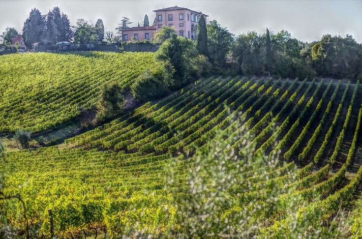 +28 % de coûts de production, mais seulement +7 % sur les prix pour les vins italiens