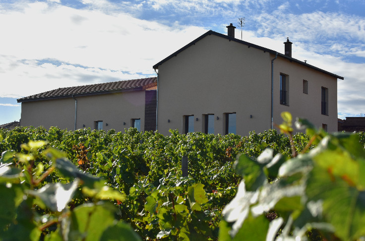 Georges DubÅ“uf treats its 12-ha Mâcon vineyard to a €1.5 million winery Georges DubÅ“uf treats its 12-ha Mâcon vineyard to a €1.5 million winery