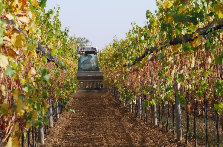 La crise du GNR ne génère pas trop de galères au vignoble