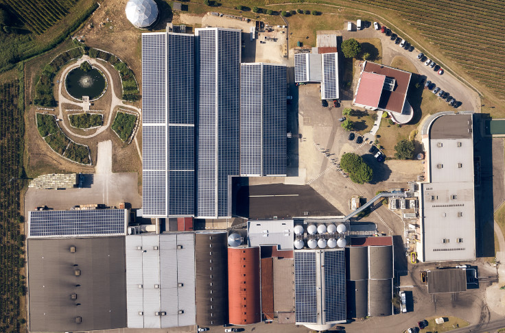 Grandes et petites actions pour la sobriété énergétique de la filière vin