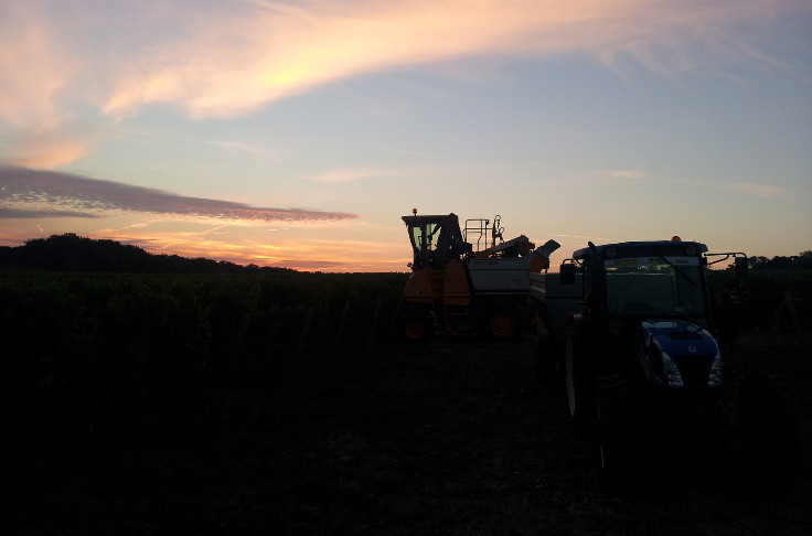 Repeat performance of 2021 in Gascony with small yields confirmed for the white wines Repeat performance of 2021 in Gascony with small yields confirmed for the white wines