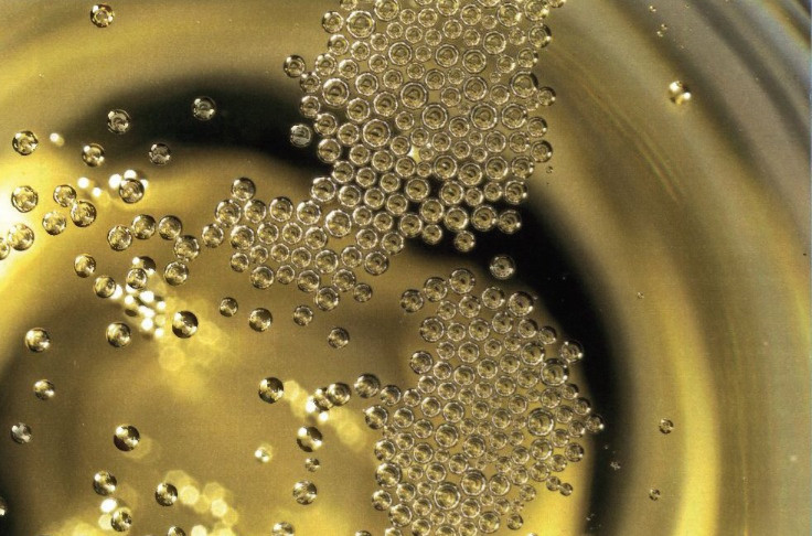 5 choses que vous ne saviez peut-être pas sur le champagne !    