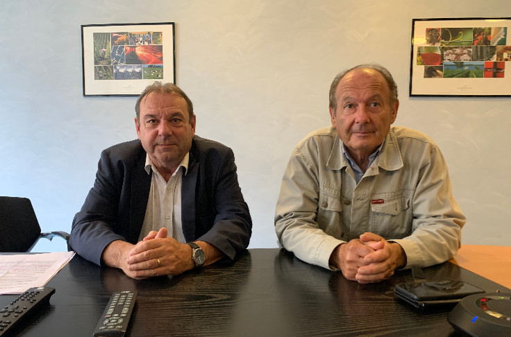 Au chevet de l'insécurité sociale des vignerons de Bordeaux
