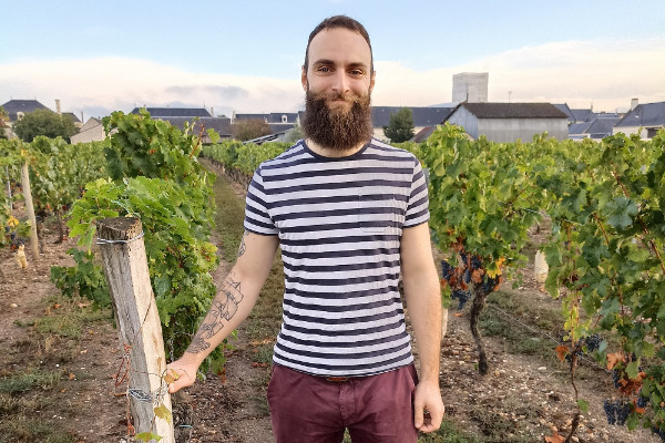 L'interprofession des vins de Loire se dote d'un 'technicien aléas climatiques'