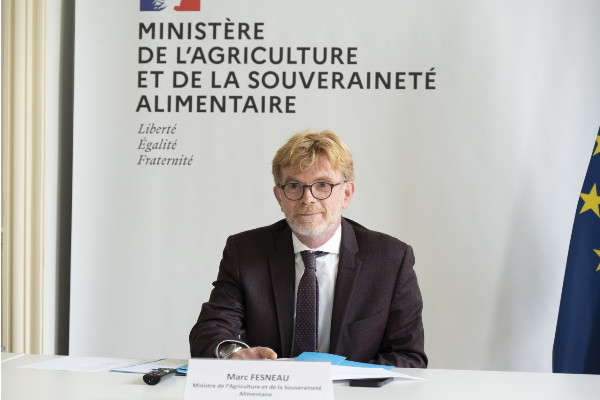 Les vignerons non-assurés remboursés à 45 % des dégâts en 2023, 40% en 2024 et 35% en 2025   