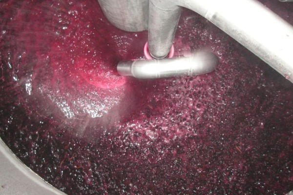 Malos sous marc et Brettanomyces compliquent des fermentations