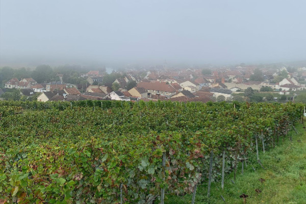 Choc en Champagne, le vigneron Jean-Luc Vadin tué par son fils