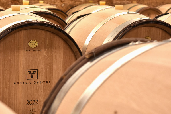Georges Dubœuf s’offre une cave à 1,5 million € pour valoriser ses 12 ha de vignes dans le Mâconnais