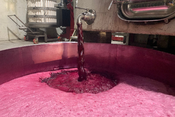 Avec 56 hl/ha, les vins de France ne font pas cru sec ce millésime 2022