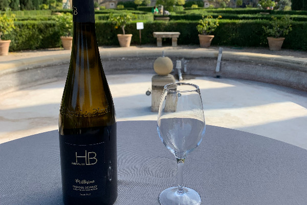 Avec Patience, les vins de Picpoul installent leur premiumisation