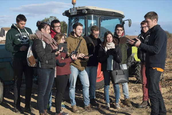 Nouveau tournant pour les solutions numériques viticoles et œnologiques